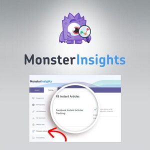 MonsterInsights - Facebook Instant Articles Addon